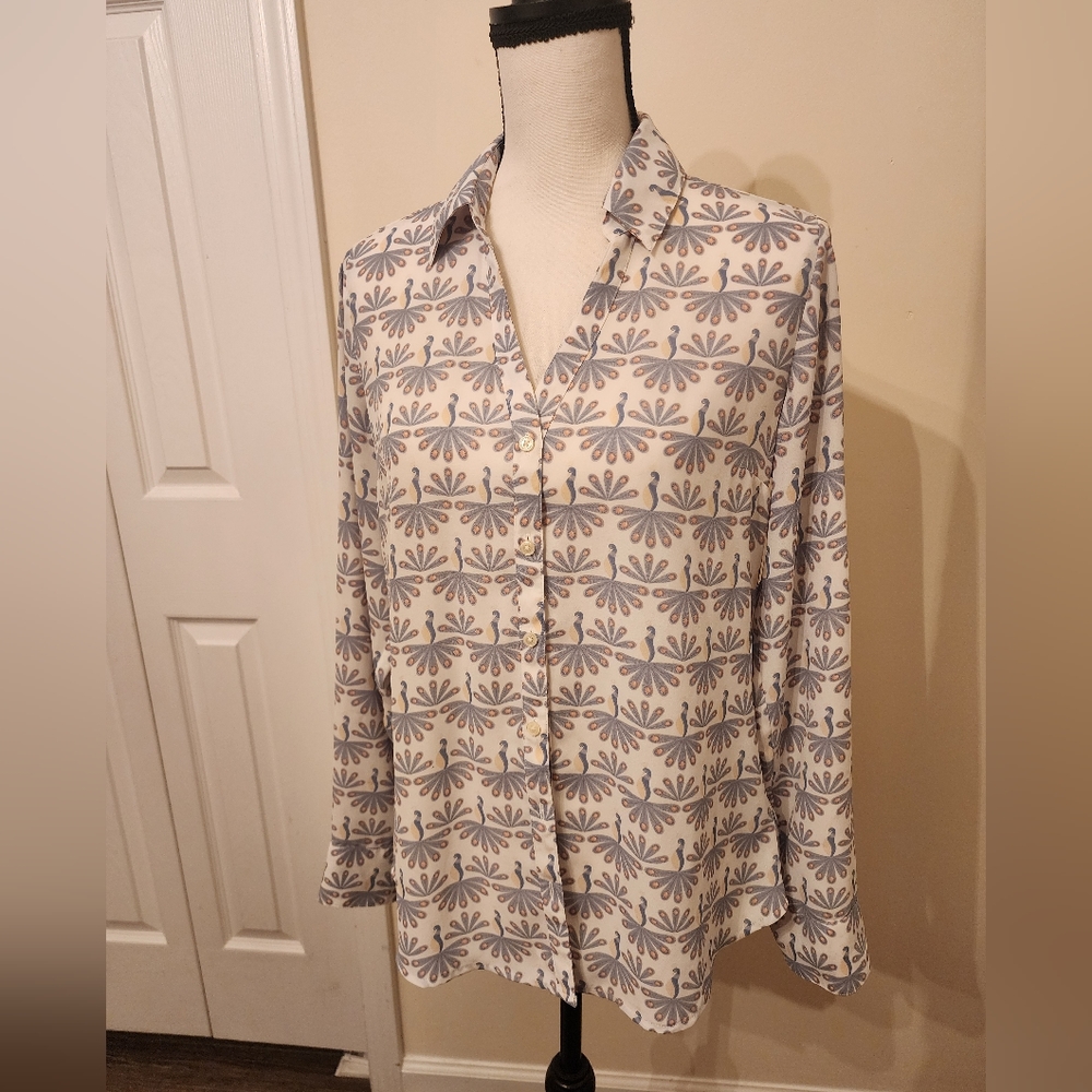 Express Woman's pastel button down V-neck blouse